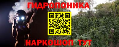 spice Кимры