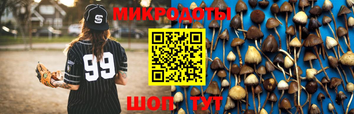 Гусь-Хрустальный  Галлюциногенные грибы прущие грибы  Вход с VPN 